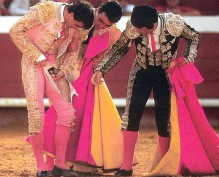 But he was up to his knees, I swear by my mother! - NSFW, Humor, Bullfight, Bull, Men, Dignity