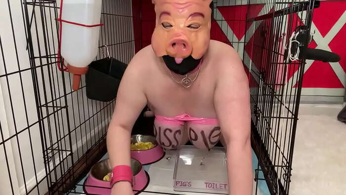 FuckPig humilation - NSFW, Humiliation, Subordination, BDSM, Erotic, Fullness, Longpost