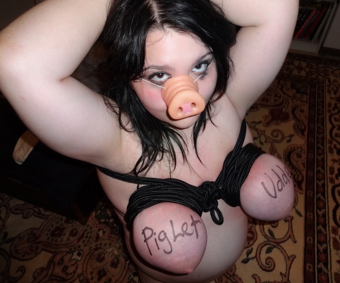 FuckPig humilation - NSFW, Humiliation, Subordination, BDSM, Erotic, Fullness, Longpost