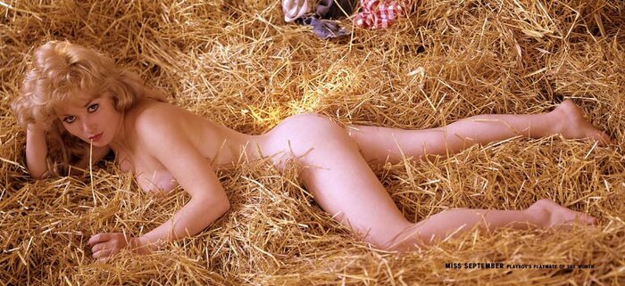 Playboy Spreads 1962-1964 - NSFW, Playboy, Girls, Erotic, Longpost