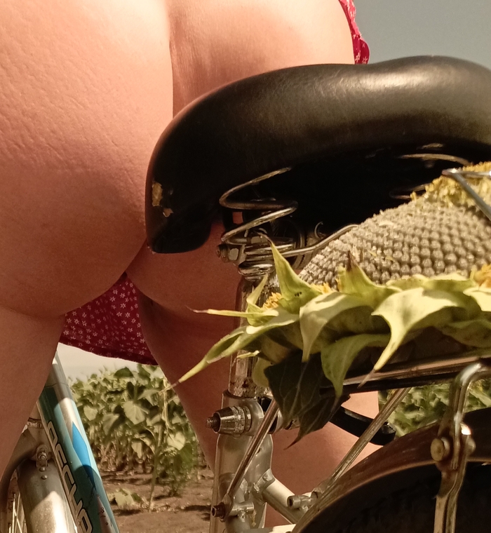 Cycling for a sunflower) - NSFW, My, Erotic, Booty, Net, A bike, Back view, No panties