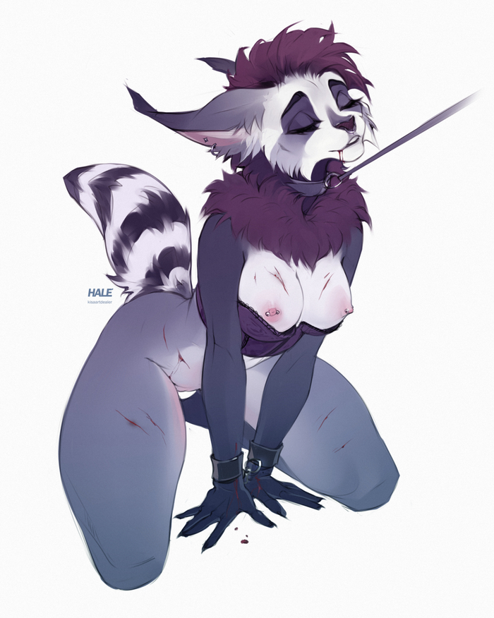 Rava - NSFW, Фурри, Антро, Арт, Furotica, Furry Lynx, Furry Hybrid, Furry Raccoon, Artmynx