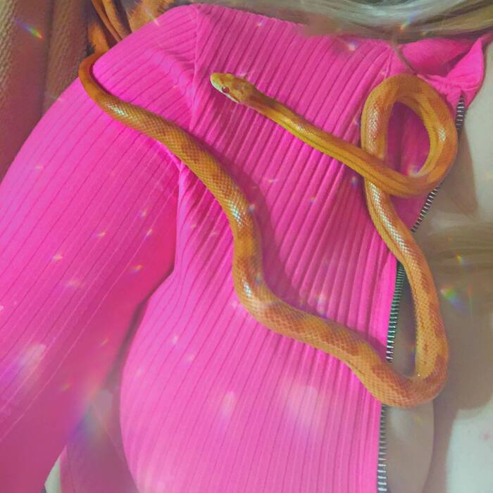 I want to introduce you to my pet Her name is Anastasia - NSFW, My, Pets, Snake, Girls