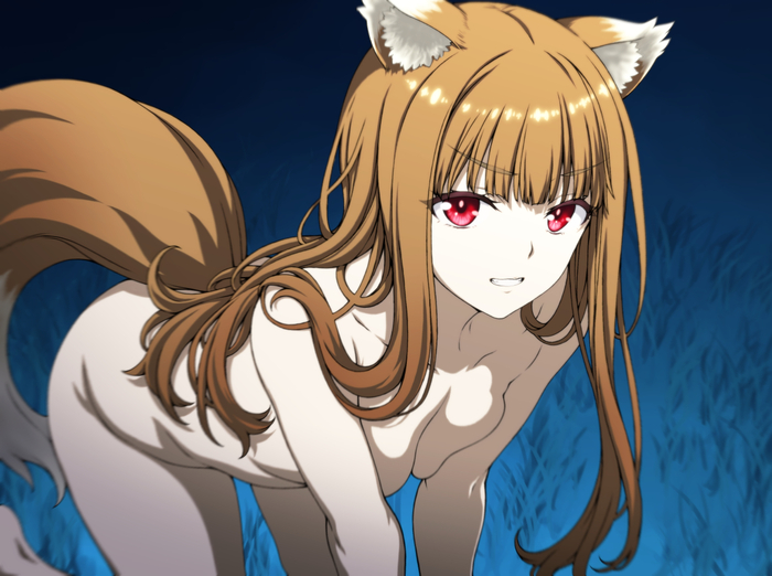 Холо - NSFW, Anime Art, Аниме, Holo, Spice and wolf, Animal Ears, Нагота