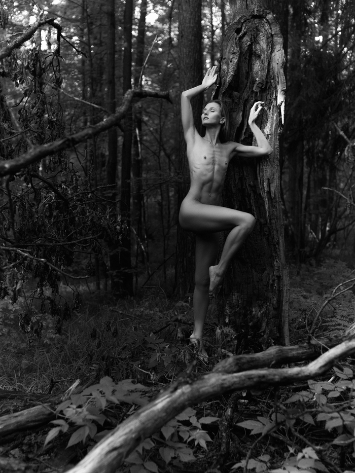 Stylish and atmospheric! - NSFW, Girls, Erotic, Boobs, Nudity, The photo, Portrait, Forest, Nature