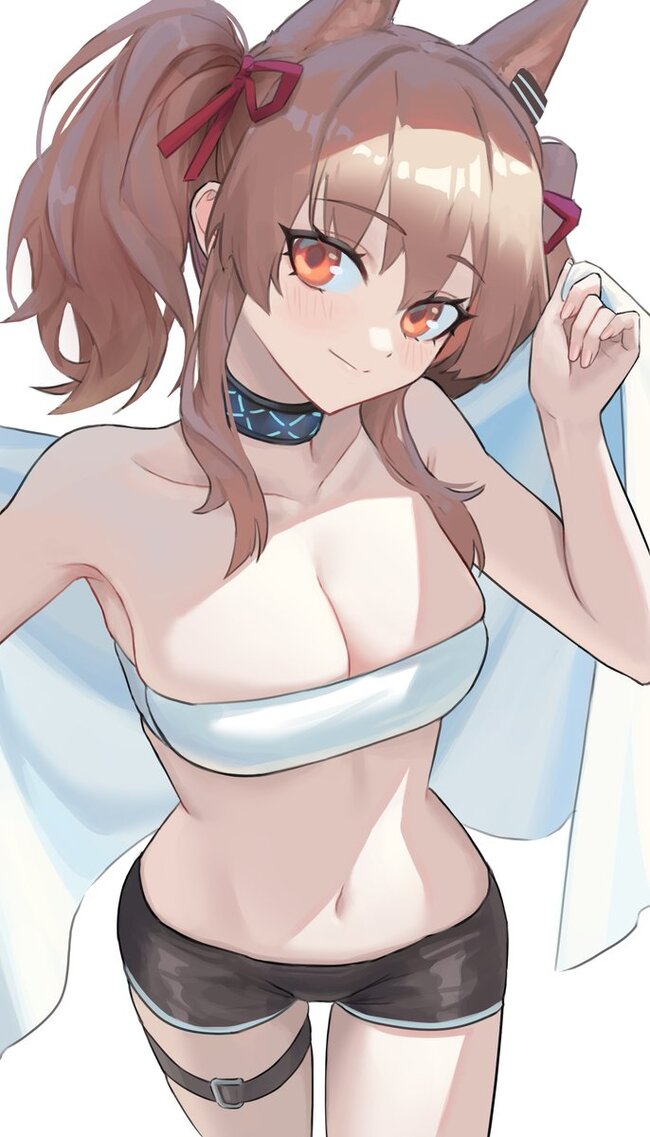 Arknights operators - NSFW, Anime art, Anime, Arknights, Horn (Arknights), Lappland, Saria, Angelina (Arknights), Video, Vertical video, Longpost, Hoshiguma