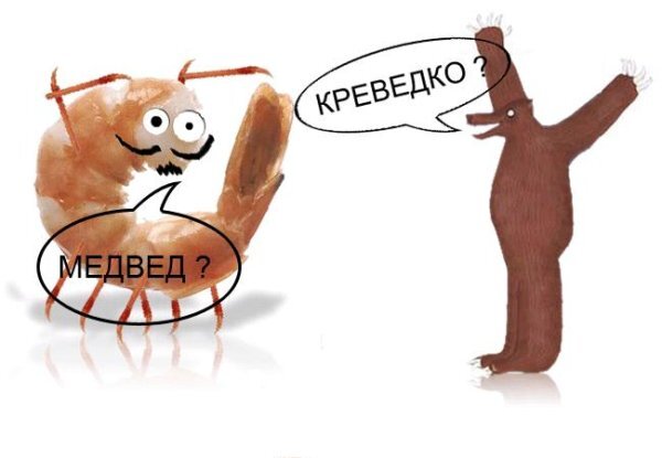 Reply to the post PREVED - NSFW, Hello bear, Memes, Images, Repeat, Reply to post, Ya Krevedko